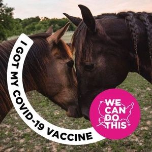 Meet your Posher, Richelle